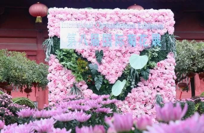中國開封第37屆菊花文化節(jié)開幕！多彩活動等你來