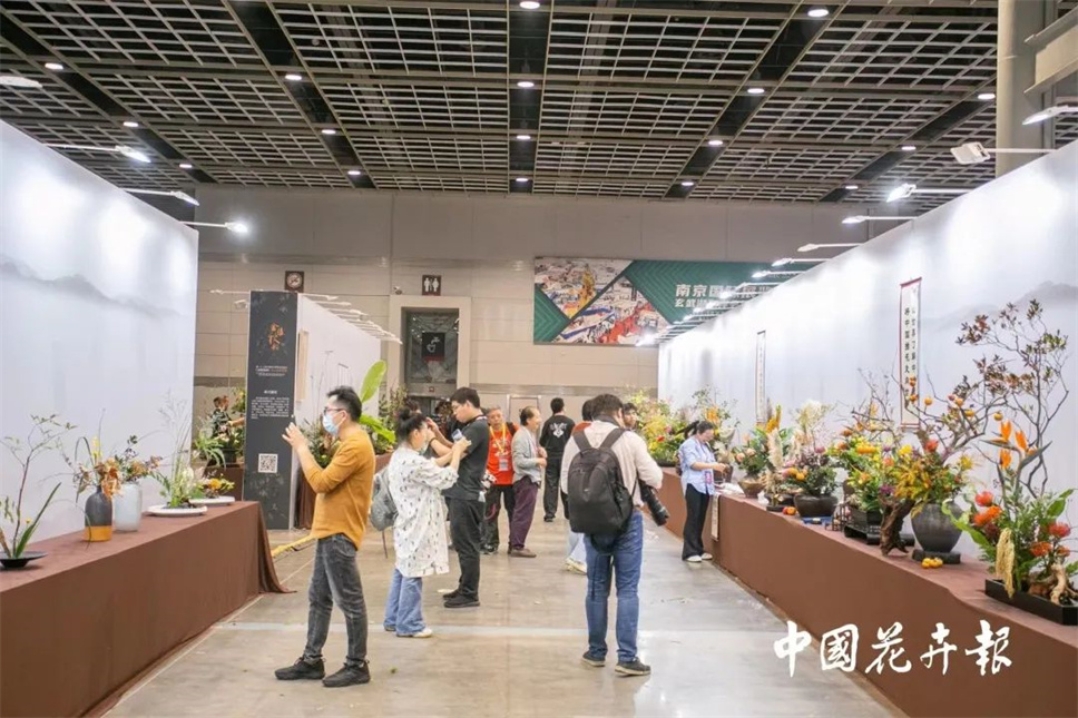 【采薇專欄】傳統(tǒng)插花要破圈兒？17個(gè)流派、名師的200個(gè)作品點(diǎn)亮南京“最美花展”