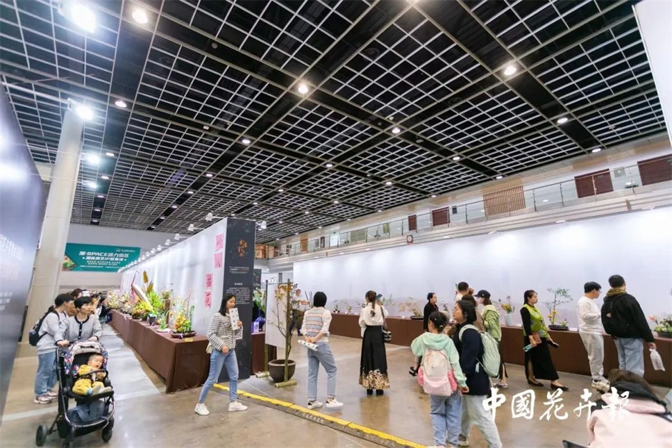 【采薇專欄】傳統(tǒng)插花要破圈兒？17個(gè)流派、名師的200個(gè)作品點(diǎn)亮南京“最美花展”