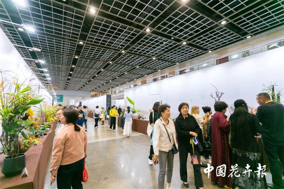 【采薇專欄】傳統(tǒng)插花要破圈兒？17個(gè)流派、名師的200個(gè)作品點(diǎn)亮南京“最美花展”