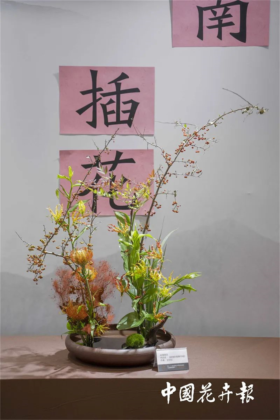 【采薇專欄】傳統(tǒng)插花要破圈兒?17個(gè)流派、名師的200個(gè)作品點(diǎn)亮南京“最美花展” 【采薇專欄】傳統(tǒng)插花要破圈兒?17個(gè)流派、名師的200個(gè)作品點(diǎn)亮南京“最美花展”